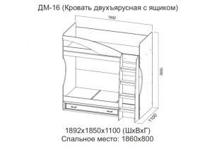 ДМ-16 Кровать двухъярусная с ящиком в Гремячинске - gremyachinsk.магазин96.com | фото