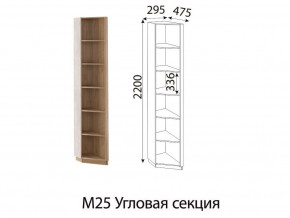 М25 Угловая секция в Гремячинске - gremyachinsk.магазин96.com | фото