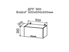 Шкаф верхний ДПГ500 горизонтальный в Гремячинске - gremyachinsk.магазин96.com | фото