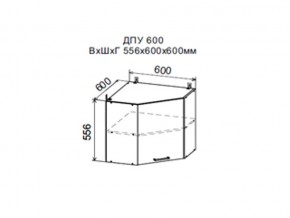 Шкаф верхний ДПУ600 угловой в Гремячинске - gremyachinsk.магазин96.com | фото