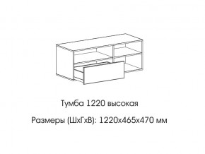 Тумба 1220 (высокая) в Гремячинске - gremyachinsk.магазин96.com | фото